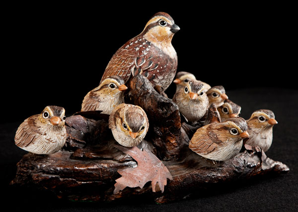 Randy Mayes' Quails